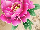 Click for preview picture of "1615002-.. (800 x 600)"